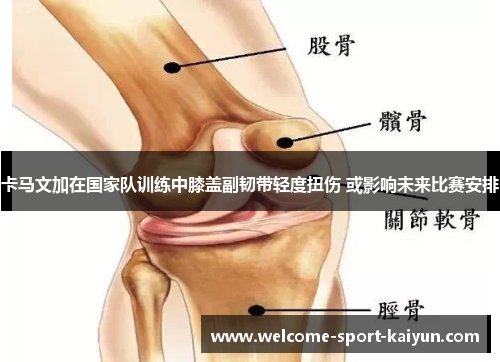 卡马文加在国家队训练中膝盖副韧带轻度扭伤 或影响未来比赛安排